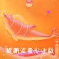 鲲鹏流量专业版